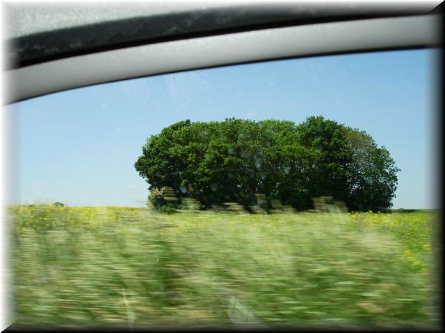 DSC00536