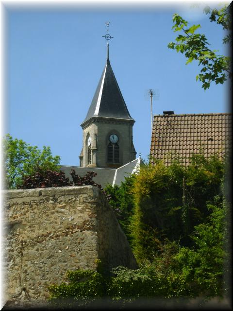 DSC00542