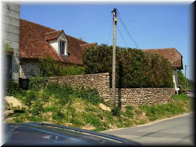 DSC00543