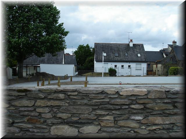 DSC01900