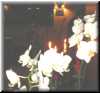 DSC07850