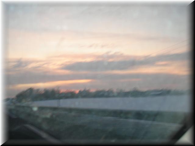 DSC02103