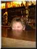 DSC01973