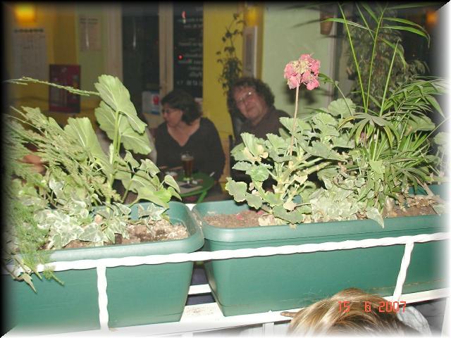 DSC06137