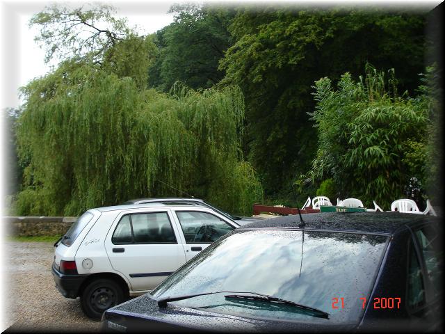 DSC06481