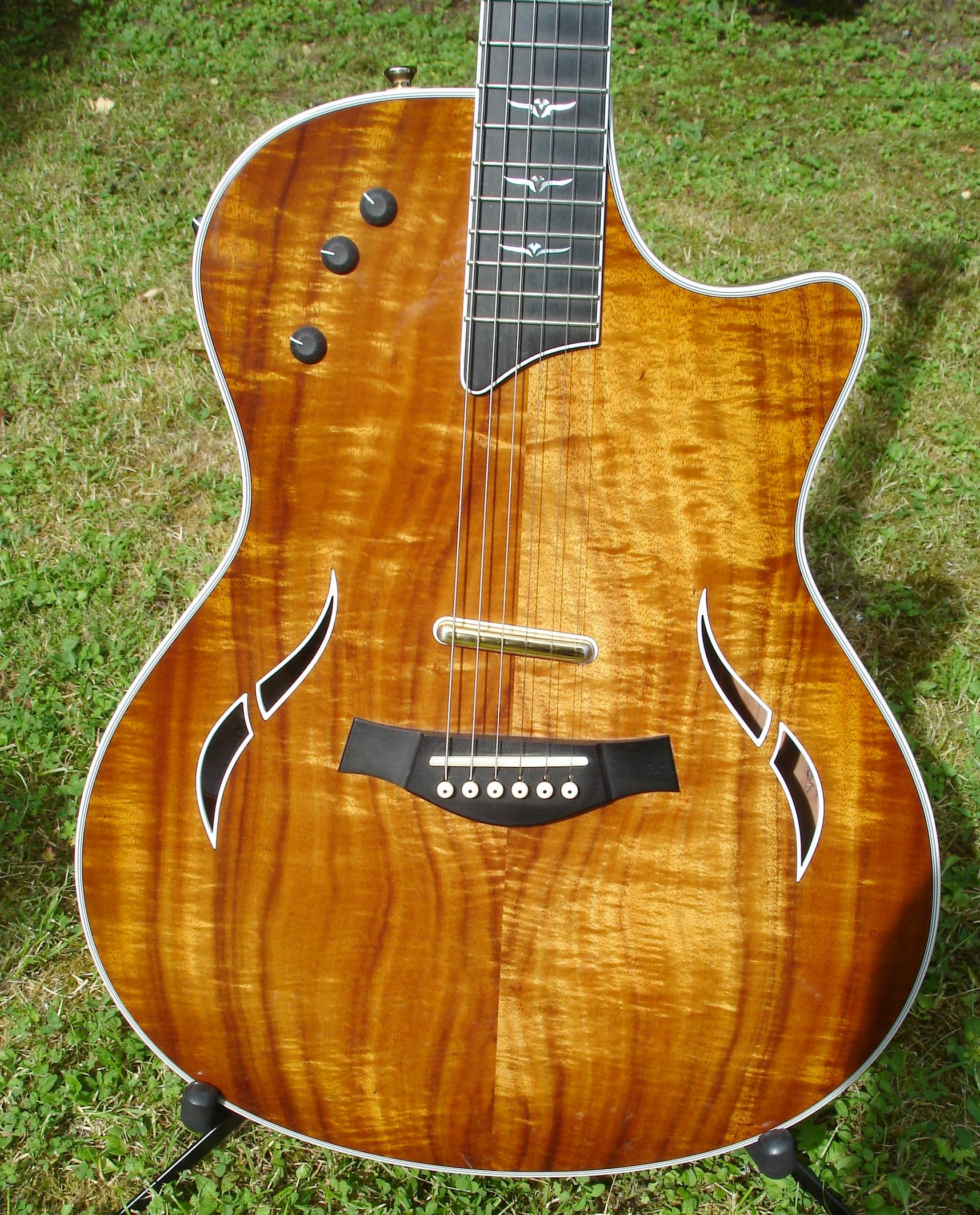 Stringkiller's Taylor Custom T5 Koa