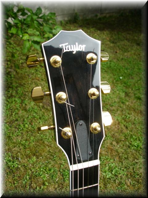 TaylorT5Koa-42