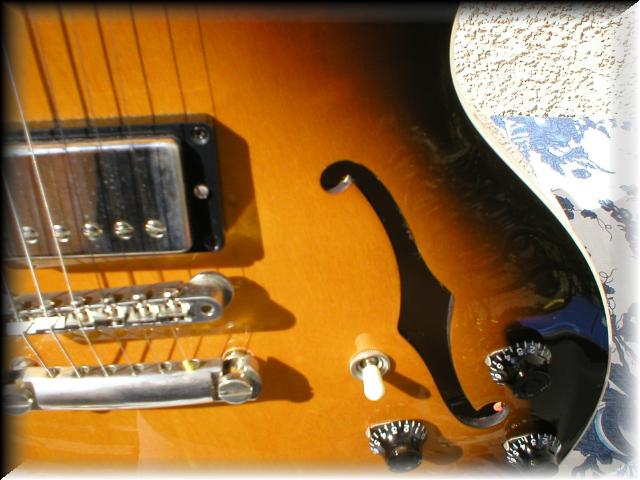 gibsones33535