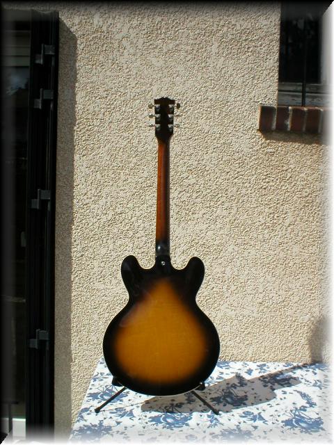 gibsones33538