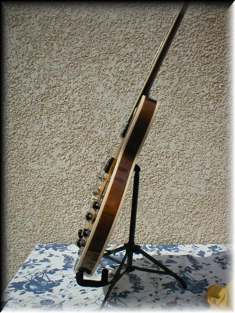gibsones33540
