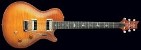 Stringkiller's PRS Singlecut tremolo guitar - the world's best guitars?